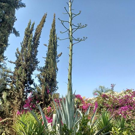 Riad-Villa Agadir-Taroudant Sidi Boumoussa ภายนอก รูปภาพ