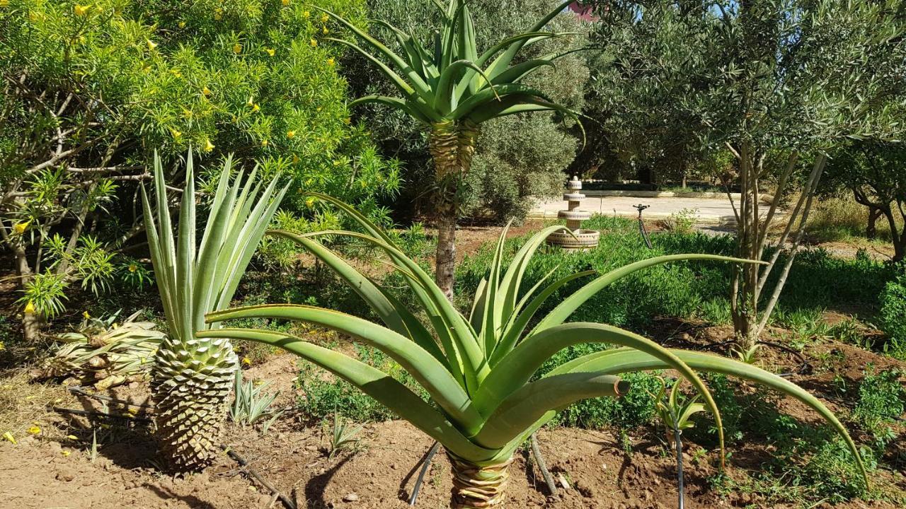 Riad-Villa Agadir-Taroudant Sidi Boumoussa ภายนอก รูปภาพ